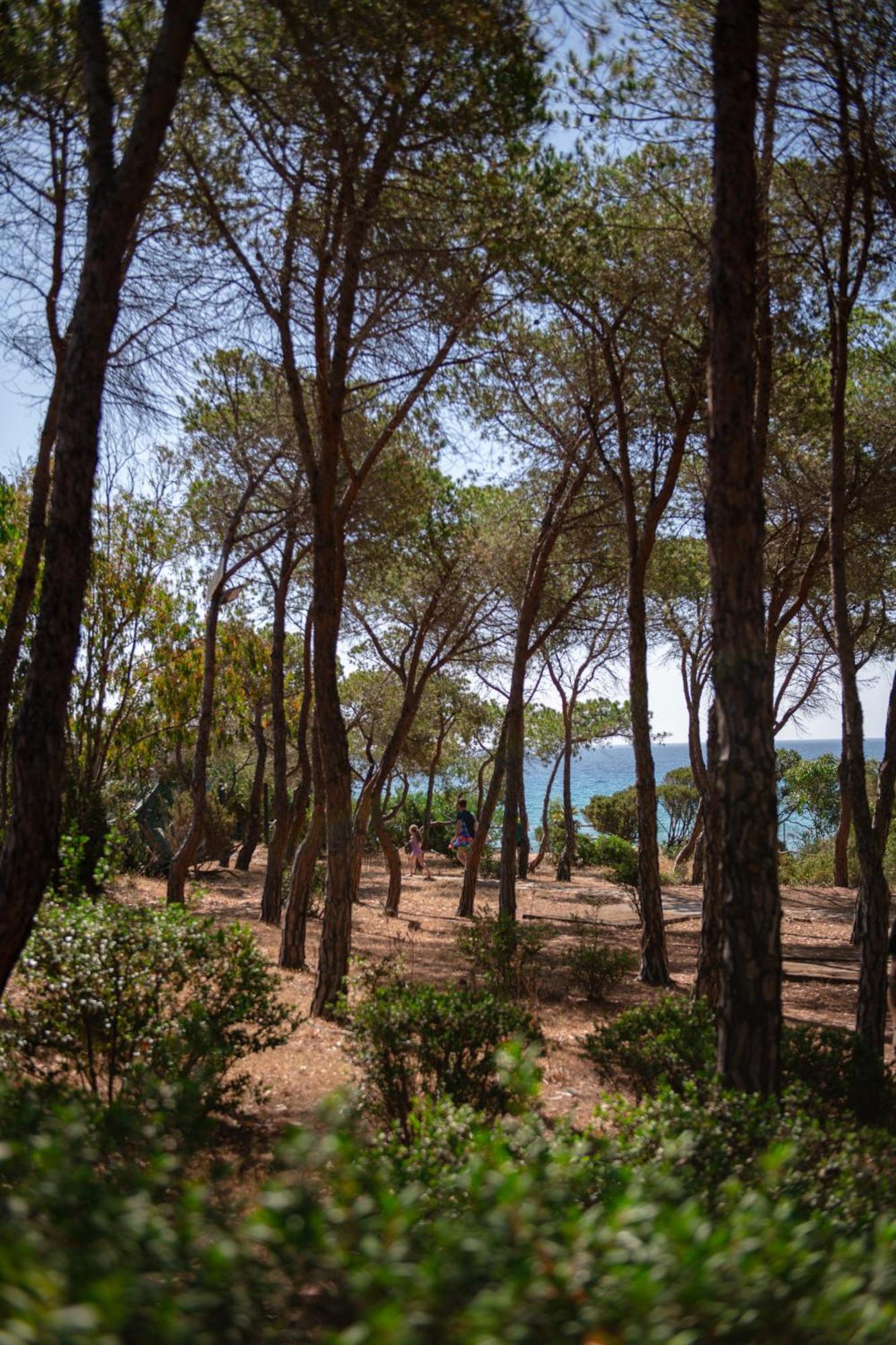 Hotel Amareclub Rocca Dorada Santa Margherita di Pula Esterno foto